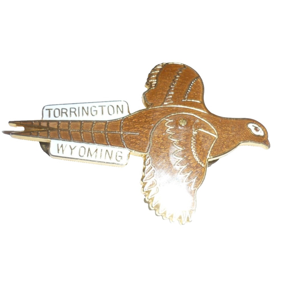 Vintage Torrington Wyoming Pheasant Bird Enamel Lapel Pin Gold Tone Souvenir